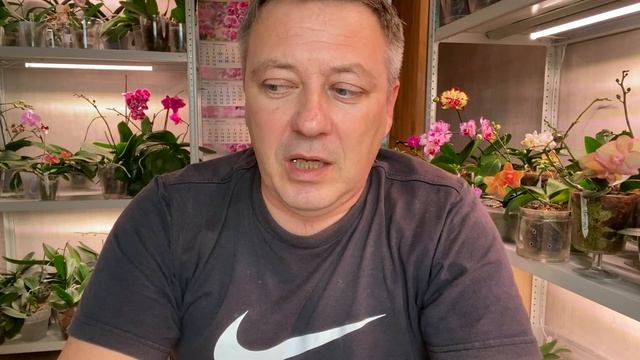 стоит ли ПАРАЗИТОВ этих выгонять смотреть онлайн