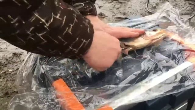 Рыбалка. Толстолобик за 50000 рублей, на нахлыст в Москва реке смотреть онлайн