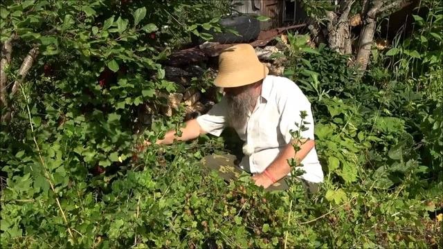 Больным ребенка делают родители