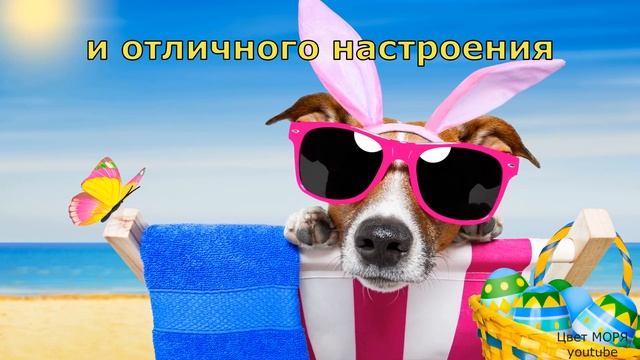 Утро должно начинаться так! ДОБРОЕ УТРО УЛЫБНИСЬ!  ? ЛОВИ ПОЗИТИВЧИК. С добрым Утром!