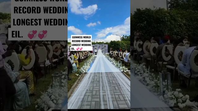 Guinness World Record longest wedding veil |Warri Pikin wedding dress #wedding #guinessrecords #fyp