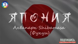 Япония. Аквапарк Shibamasa World (Фукуи).