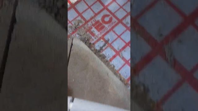 #водянойтеплыйпол зачем нужна подложка? фольги там нет)