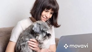 Шнауцер.как выбрать щенка