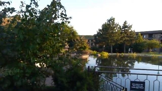 поездка в Германию
