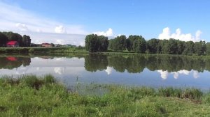 У озера Тяжинский Июнь 2022.mp4