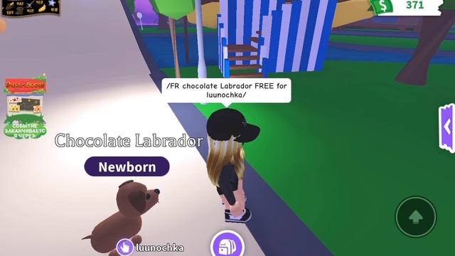 КАК ПОЛУЧИТЬ БЕСПЛАТНО ФР ПЕТА В АДОПТ МИ?! смотреть онлайн