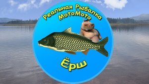 Как поймать Ерша на Братском водохранилище [NEW] | Реальная Рыбалка.