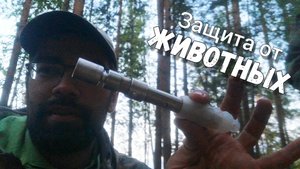 Чем защищаться от диких животных