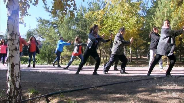 ВИДЕО  МД САД ДОЛГОЛЕТИЯ смотреть онлайн