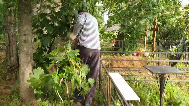 УРАГАН СМОЛЕНСКАЯ ОБЛАСТЬ последствия