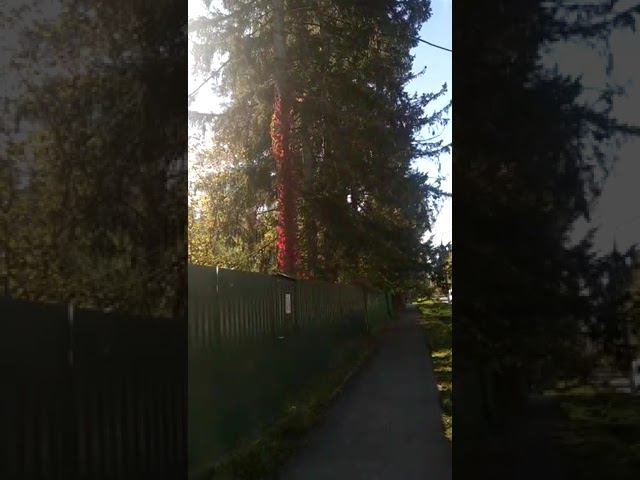 27 сентября 2022 г. смотреть онлайн