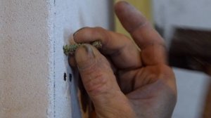 Как сделать недорогую внутреннюю отделку в доме из газобетона