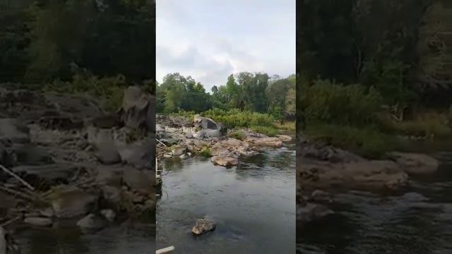 #fresh water #nature #river #picnic spot