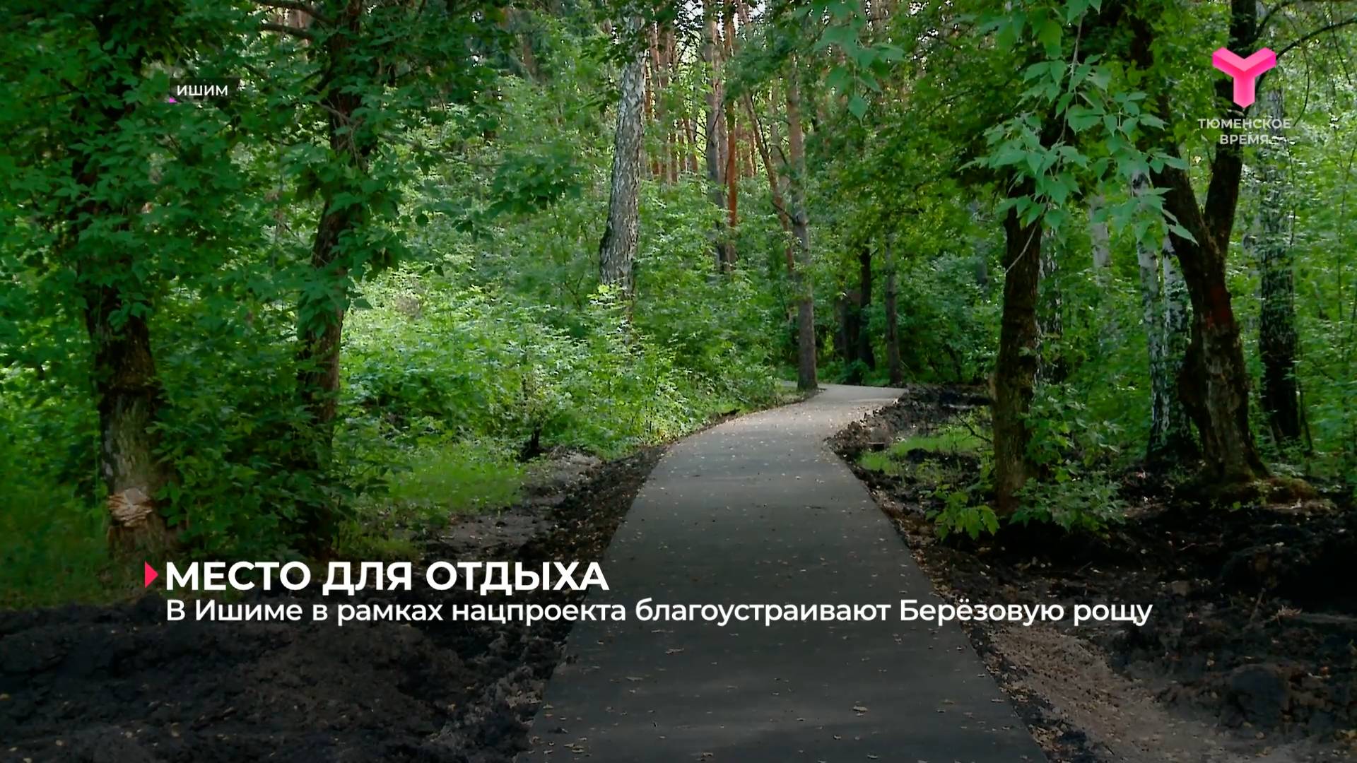 В Ишиме в рамках нацпроекта благоустраивают Берёзовую рощу