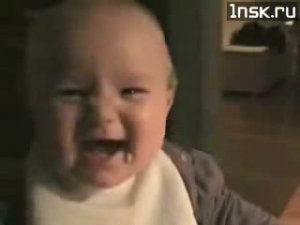 Попробуйте не засмеяться...