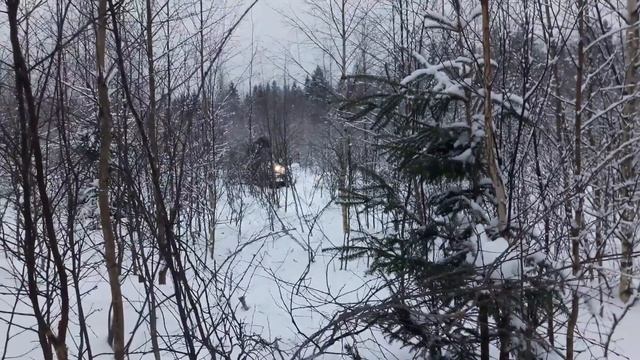 Буран 4тд Кохлер на делянке. смотреть онлайн