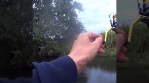 Огромный голавль в ручье! ЭТО НАДО ВИДЕТЬ