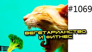 Вегетарианство и фитнес. Может ли вегетарианец быть здоровым бодибилдером как Алексей Воевода?