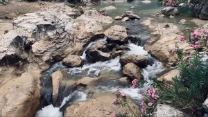 Ишингиз бароридан келиб Омад келиши учун кучли дуо || Ризқ олиб келади! || Al Dostaki