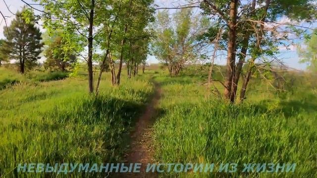 📌Лучший момент 🟥Невыдуманные истории  из жизни🟥Аудиорассказ🟥Истории  из жизни