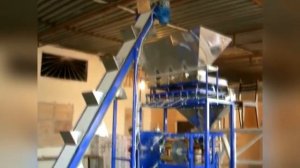 Идея для бизнеса, линия по жарке и фасовке семечек