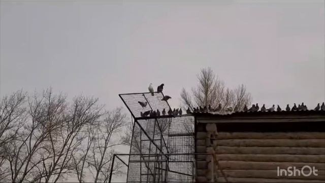 Краткий обзор , осень 2023 смотреть онлайн