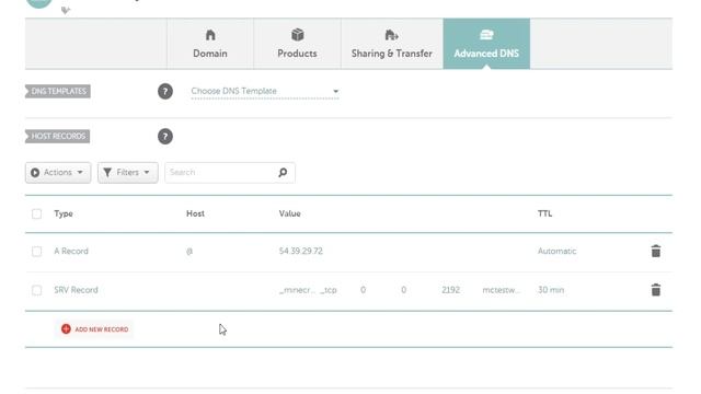 Custom IP for Minecraft Server with NameCheap