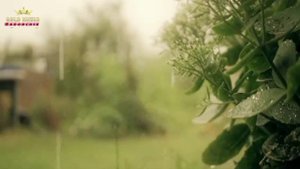 Александр Гужов и Dima Project - В Невесомости