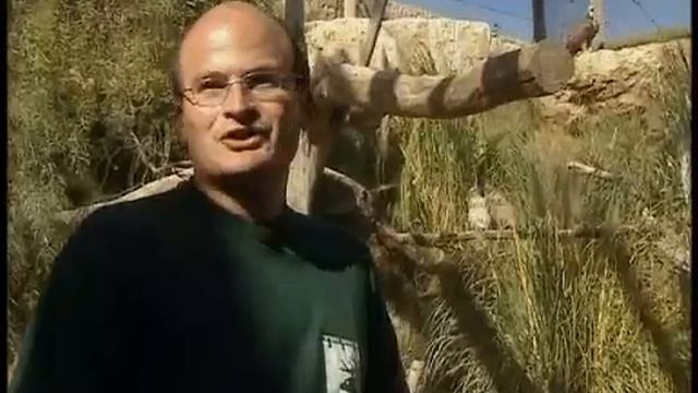 ivrit katan иврит катан урок ивритa Hebrew lessons skazka zoo смотреть онлайн