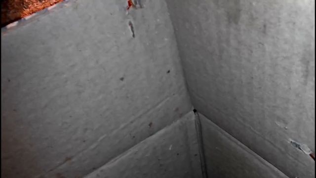 РАСТИМ ВМЕСТЕ... МУЛАРДОВ// Ч.2 ПОКУПКА УТЯТ. ЗАПУСКАЕМ В БРУДЕР. ПЕРВЫЕ КОРМЛЕНИЯ смотреть онлайн