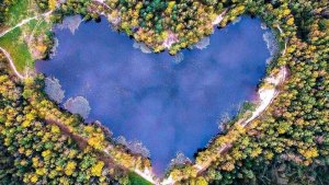 Прогулка вдоль озера  "Кучинский лесопарк" - a walk along the lake "Kuchinsky Forest Park"