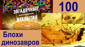 Блохи динозавров и ЯЙЦО динозавра с детёнышем! З/О_100.