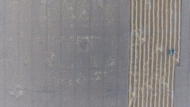 Аэросъемка и инспектирование сельскохозяйственных полей