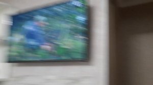 Триколор ТВ без  антенны..Через интернет..