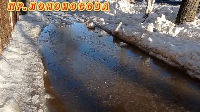 ГДЕ ХВАЛЕНАЯ ТЕХНИКА? ГДЕ УБОРКА СНЕГА С ТРОТУАРОВ? ЛЮДИ ВЫНУЖДЕНЫ РИСКОВАТЬ ЖИЗНЬЮ!