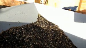 Обзор веялки, ч.2(провеивание семян подсолнечника)