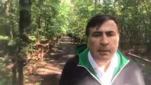 Саакашвили из леса объяснил почему намерен вернуться в Украину