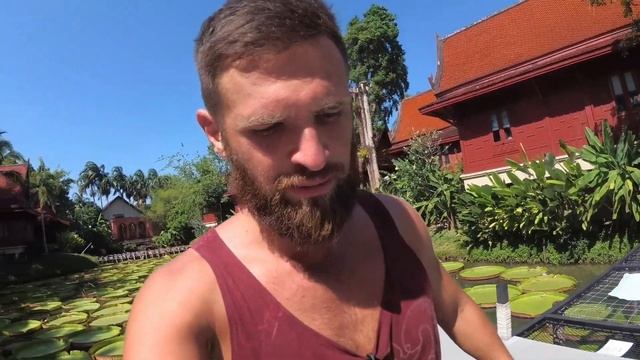 Тайланд. Пляж Банг тао. Кувшинки. Гора обезьян.