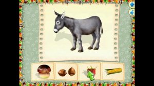 что едят животные, развивающее видео мультики для детей\ what do animals eat educational video
