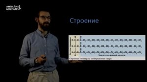 Липиды. Видеоурок 5. Биология 9 класс