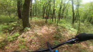 Samba MTB Cabin Fever Epic Rattling Creek 2023