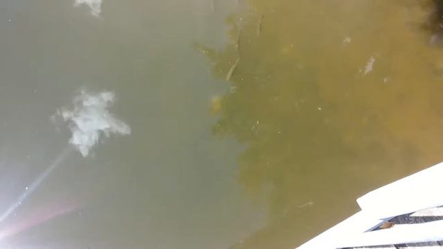 трутнов 2016 смотреть онлайн