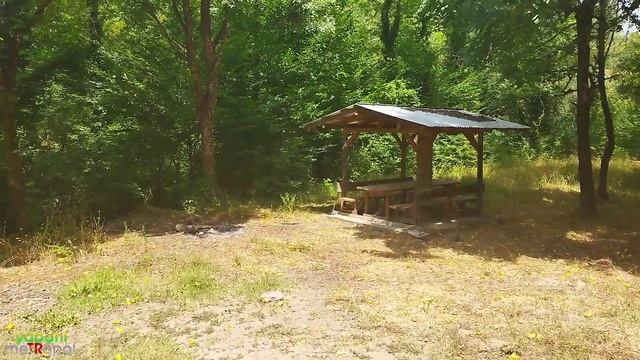 Birden oluşan KAMP kurma isteği :) Kuş sesleriyle ormanda yürüyüş sonrası buz gibi su ve dinlenmek смотреть онлайн