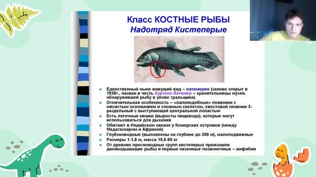 ЕГЭ Биология | РЫБЫ смотреть онлайн