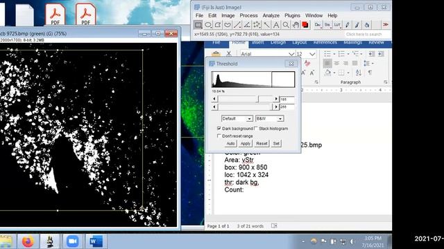 Demo of automated cell or c-Fos counting with ImageJ / FIJI (2021) смотреть онлайн