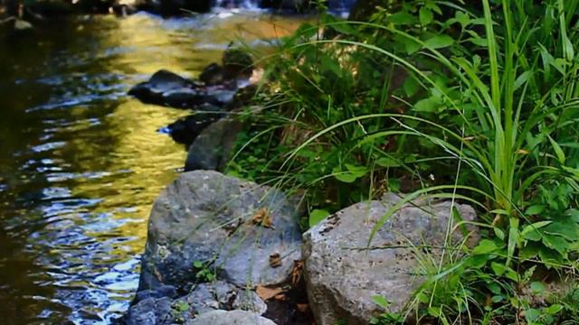 David Darling ~ Cello Blue / Morning смотреть онлайн