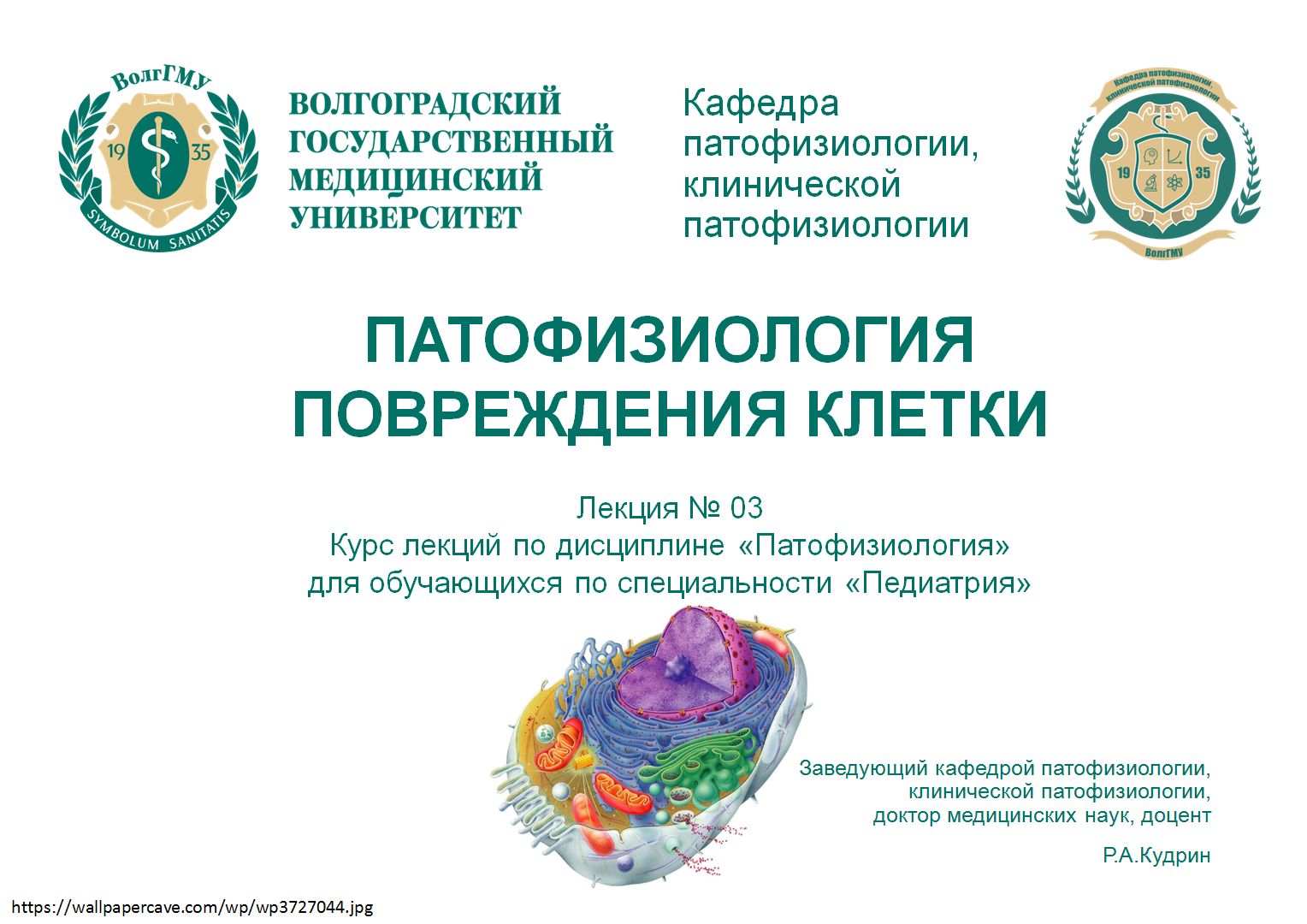 Лекция 03. Патофизиология повреждения клетки
