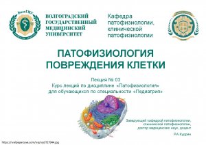 Лекция 03. Патофизиология повреждения клетки