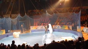 Санкт-Петербург,цирк в Автово